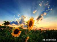 湖南蓝沃彦商贸有限公司