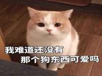 湖南蓝沃彦商贸有限公司