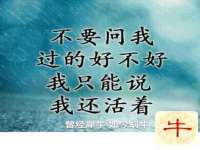 湖南蓝沃彦商贸有限公司