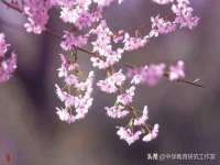 湖南蓝沃彦商贸有限公司
