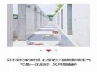 湖南蓝沃彦商贸有限公司