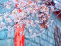 湖南蓝沃彦商贸有限公司