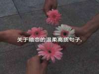 湖南蓝沃彦商贸有限公司