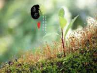 湖南蓝沃彦商贸有限公司