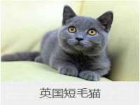 湖南蓝沃彦商贸有限公司