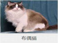 湖南蓝沃彦商贸有限公司