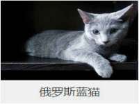 湖南蓝沃彦商贸有限公司