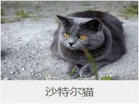 湖南蓝沃彦商贸有限公司