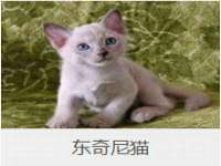 湖南蓝沃彦商贸有限公司