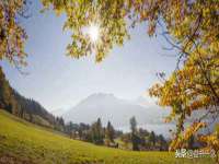 湖南蓝沃彦商贸有限公司