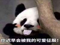 湖南蓝沃彦商贸有限公司