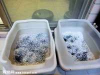 湖南蓝沃彦商贸有限公司