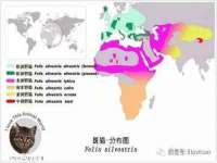 湖南蓝沃彦商贸有限公司