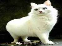 湖南蓝沃彦商贸有限公司