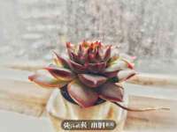湖南蓝沃彦商贸有限公司