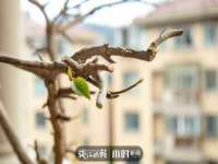 湖南蓝沃彦商贸有限公司