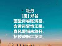 湖南蓝沃彦商贸有限公司