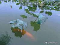 湖南蓝沃彦商贸有限公司