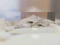 湖南蓝沃彦商贸有限公司