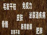 湖南蓝沃彦商贸有限公司