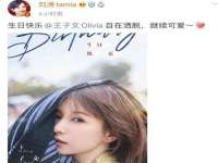 湖南蓝沃彦商贸有限公司