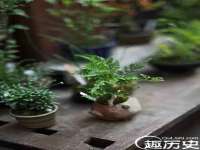 湖南蓝沃彦商贸有限公司
