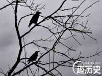 湖南蓝沃彦商贸有限公司