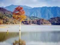 湖南蓝沃彦商贸有限公司
