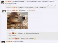 湖南蓝沃彦商贸有限公司