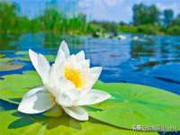 湖南蓝沃彦商贸有限公司