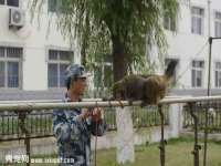 湖南蓝沃彦商贸有限公司