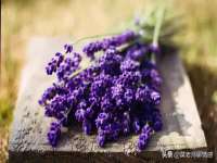 湖南蓝沃彦商贸有限公司