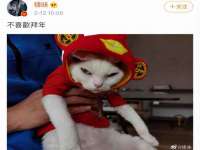 湖南蓝沃彦商贸有限公司